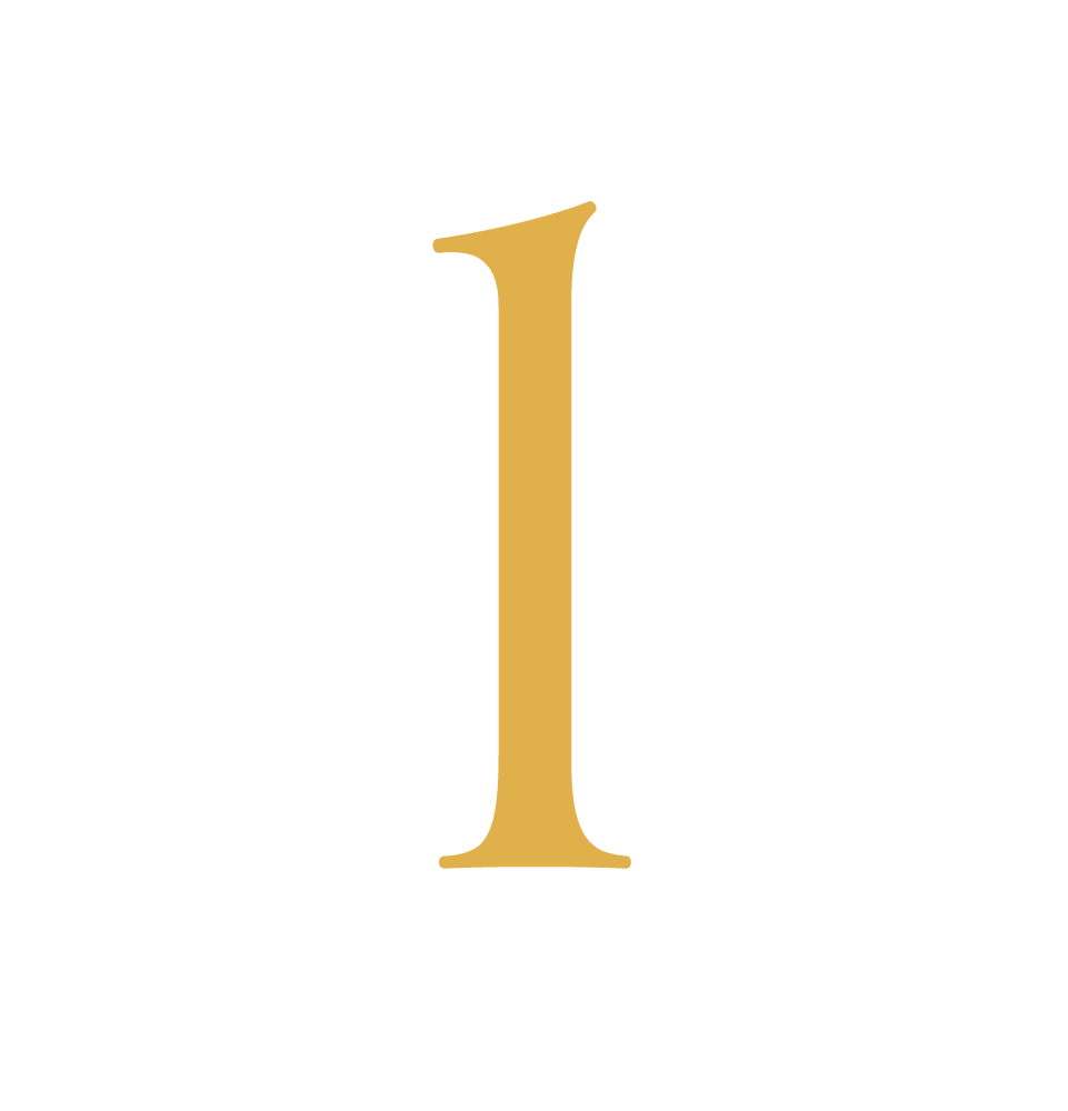 number one icon